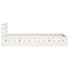 Product Thumbnail Image 5 of 12