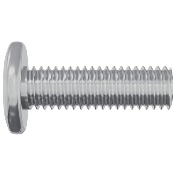vidaXL Screw 2 pcs Silver 8 x 25 mm Steel