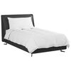 vidaXL Summer Duvet with Pillow 2 pcs White Down Feather