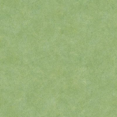 Noordwand Wallpaper Evergreen Leaf Veins Green