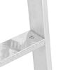 vidaXL 4-Step Dock Ladder Silver 58 x 77 x 166 cm Aluminium