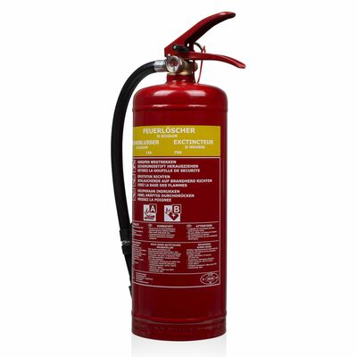 Smartwares Foam Fire Extinguisher 3 L Class AB Steel FEX-15230