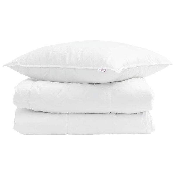 vidaXL Summer Duvet with Pillow 2 pcs White Down Feather