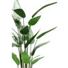 Product Thumbnail Image 3 of 5