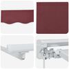 vidaXL Manual Retractable Awning Burgundy 3 x 2.5 m