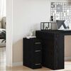 vidaXL Apothecary Cabinet Black oak 20 x 45.5 x 60 cm Engineered Wood