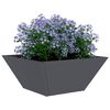 Product Thumbnail Image 3 of 13