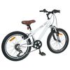 vidaXL Kids Mountain Bike 20'' 6-Speed for 5-8 Years Old White