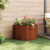Product Thumbnail Image 4 of 14