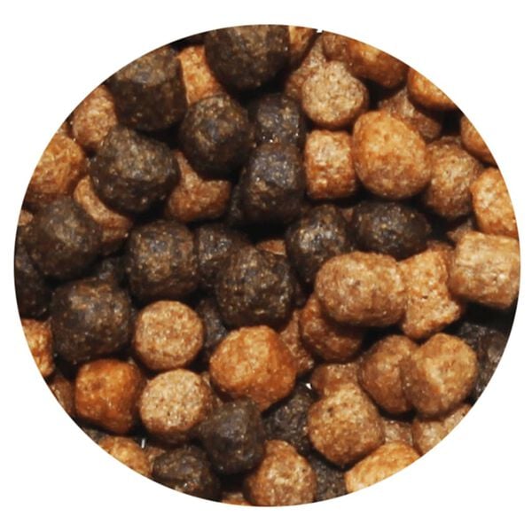 Ubbink Fish Food Heiko Koi Colour Menu 6 mm 3 L