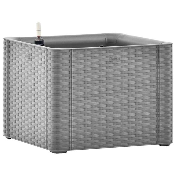 Showing Product Image 1 of 6
