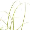 Product Thumbnail Image 2 of 2