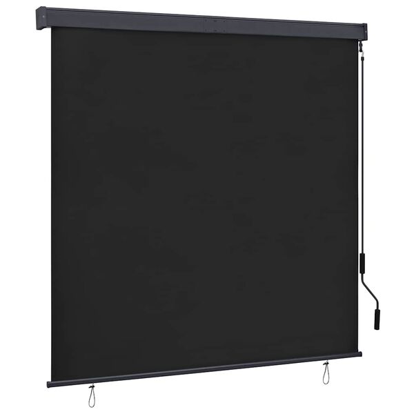 vidaXL Outdoor Roller Blind 160x250 cm Anthracite