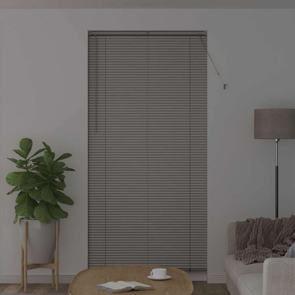 vidaXL Venetian Blinds Height Adjustable Silver 220 x 105 cm Aluminium