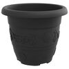 Product Thumbnail Image 6 of 12