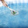 Product Thumbnail Image 3 of 8