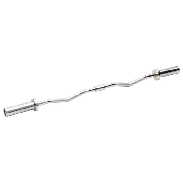 vidaXL Curl Barbell with Plates 30 kg Cast Iron&Chrome Plated Steel