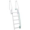 vidaXL 5-Step Dock Ladder Silver 58 x 77 x 191 cm Aluminium