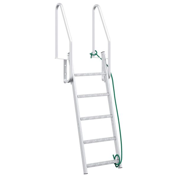 vidaXL 5-Step Dock Ladder Silver 58 x 77 x 191 cm Aluminium