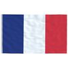 vidaXL France Flag and Pole 5.55 m Aluminium