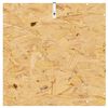 Product Thumbnail Image 9 of 13
