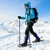 vidaXL 3 in 1 Snowshoes Silver and Black 25 inches Aluminum and HDPE