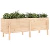 vidaXL Garden Raised Bed 160x50x57 cm Solid Wood Pine