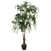 Product Thumbnail Image 2 of 5
