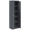 vidaXL Storage Cabinet with Storage 2 pcs Anthracite 60 x 40 x200 cm