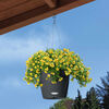 LECHUZA Hanging Planter NIDO Cottage 28 ALL-IN-ONE Granite