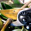 GRÜNTEK Garden Bypass Pruning Shears Z-25 for Right Handers 215 mm