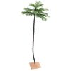 Product Thumbnail Image 2 of 10