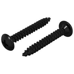 vidaXL Tapping Nail 2 pcs Black M4 x 28 mm Steel
