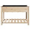 vidaXL Garden Planter Beige 115 x 59 x 76.5 cm Solid Fir Wood