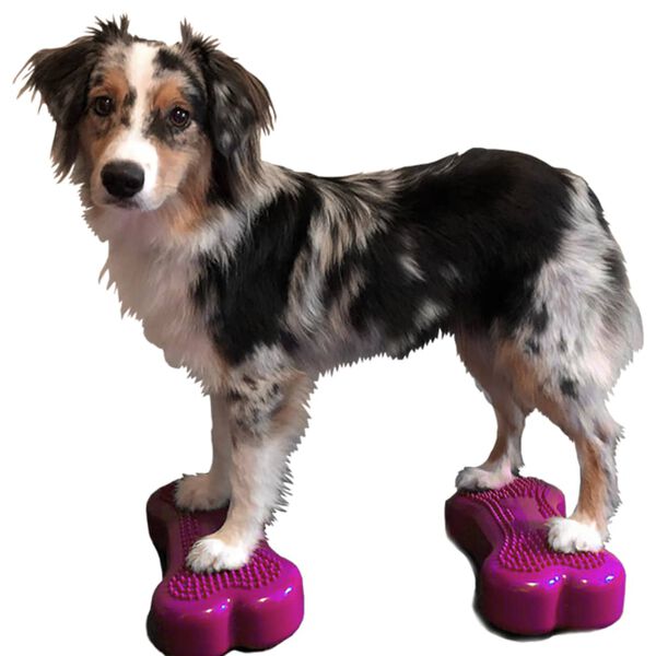 FitPAWS Pet Balance Platform Mini K9FITbone 2 pcs 29x16.5x6 cm
