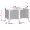 Product Thumbnail Image 8 of 8