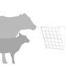 Product Thumbnail Image 11 of 15