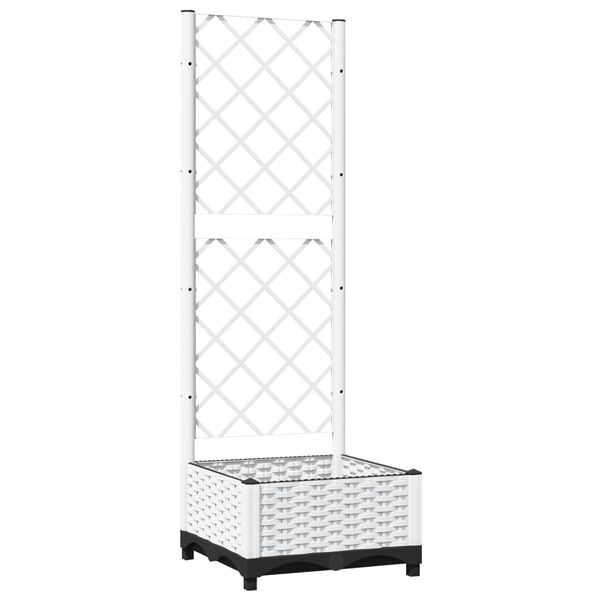 Showing Product Image 1 of 8