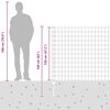 Product Thumbnail Image 7 of 7