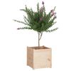 vidaXL Garden Planters 2 pcs 50x50x50 cm Solid Pinewood