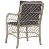 vidaXL Garden Chairs with Cushions 2 pcs Light Grey Poly Rattan