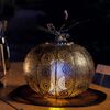 Product Thumbnail Image 3 of 3