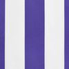 vidaXL Replacement Fabric for Awning Valance Blue and White Stripe 4 m