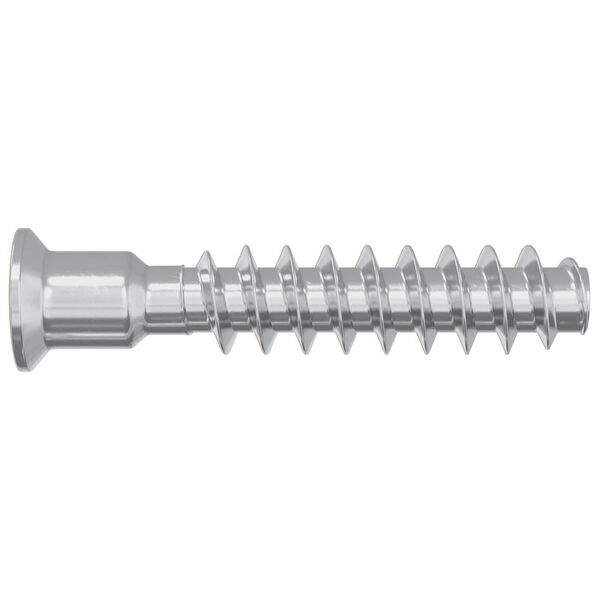 vidaXL Head Cap Screw 2 pcs Silver M7 x 40 mm Steel