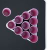 Product Thumbnail Image 7 of 7