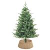 Product Thumbnail Image 3 of 7