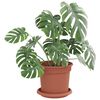 Product Thumbnail Image 3 of 10