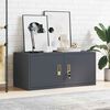 vidaXL Storage Cabinet with Storage Anthracite 90 x 40 x 40 cm Steel