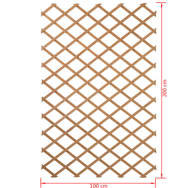 Nature Garden Trellis 100x200 cm Wood Natural 6041703