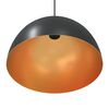 vidaXL Pendant Lamps 2 pcs Height Adjustable E27 Black Ø 30 cm Metal